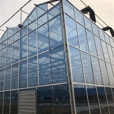 Gewerbliches Glasgewächshaus